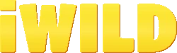 Iwild
